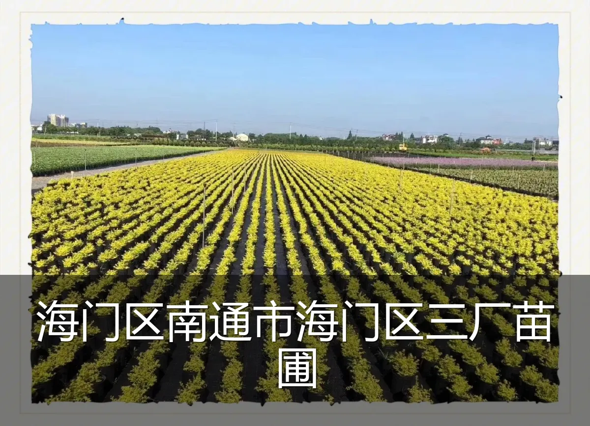海门区南通市海门区三厂苗圃