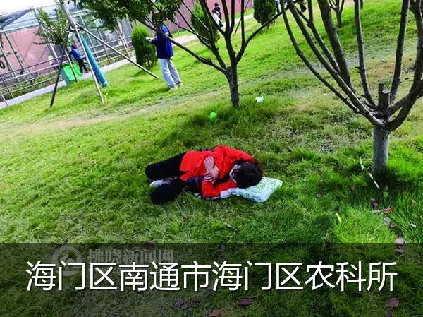 海门区南通市海门区农科所